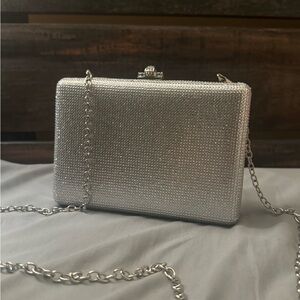 Windsor Shiny Silver Purse